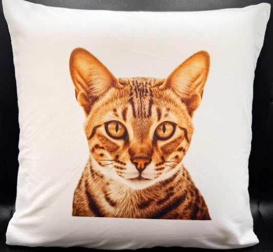 Cat #1 Massage Pillow